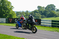 Lower Group Black Bikes